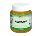REUMAFIT