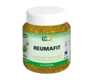 Reumafit kostivalov gel s jalovcem a MSM 350 ml